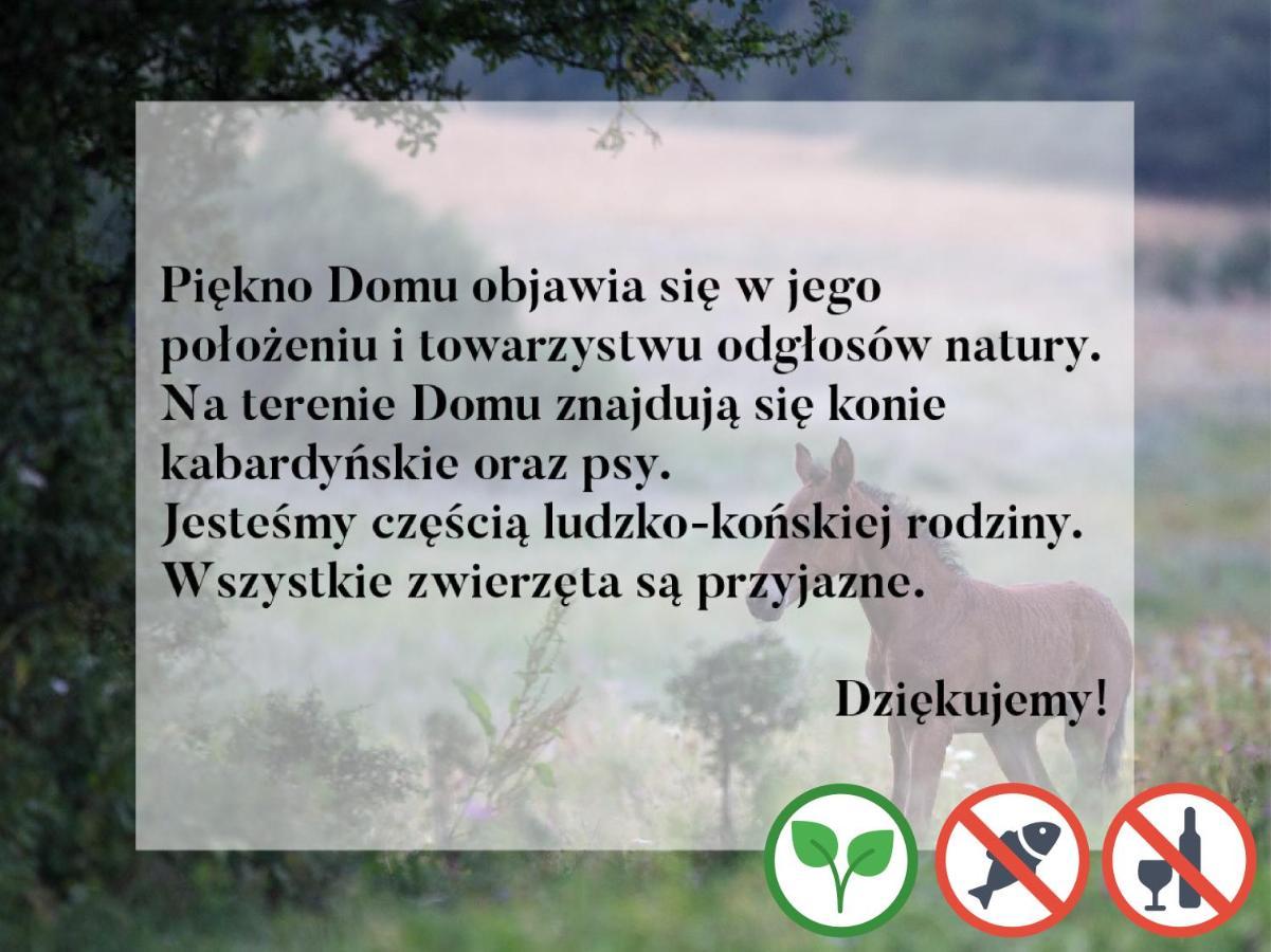 Apartmán Osada Kabardia Nowica Exteriér fotografie